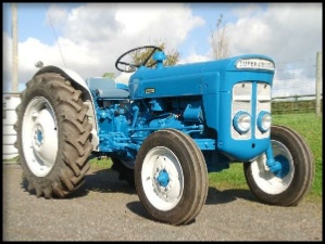 Fordson Super Dexta Vineyard